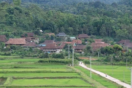 Nét Thái cổ ở bản Che Căn (xã Mường Phăng, thành phố Điện Biên Phủ, tỉnh Điện Biên). (Ảnh: Xuân Tiến/TTXVN) 