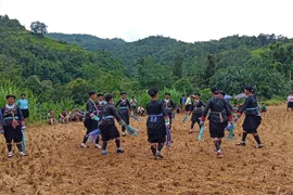 Múa hát tại lễ cầu an của người Giáy xã Nậm Ban, huyện Mèo Vạc, tỉnh Hà Giang. (Nguồn: Báo Hà Giang)