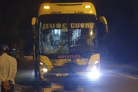 Ảnh minh họa. (Nguồn: TTXVN)