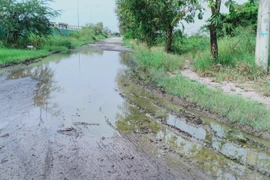 Ảnh minh họa. (Nguồn: TTXVN)