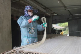 Sợi miến dong Phia Đén có màu hơi đen hoặc trắng ngà.(Ảnh: Chu Hiệu/TTXVN) 