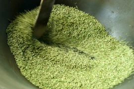 Rang cốm phải đều tay để hạt cốm không bị cháy, không khô, xanh đều. (Ảnh: Quốc Khánh/TTXVN) 