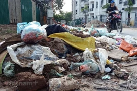 Ảnh minh họa. (Nguồn: Vietnam+)