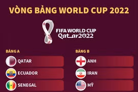 [Infographics] Vòng bảng World Cup 2022: Xác định 32 đội tuyển 