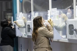 Nhân viên y tế lấy mẫu xét nghiệm COVID-19 cho người dân tại Seoul, Hàn Quốc ngày 16/2/2022. (Ảnh: THX/TTXVN)