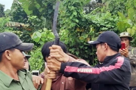 Các đối tượng lấn, chiếm đất rừng xô xát với lực lượng quản lý, bảo vệ rừng. (Ảnh: TTXVN phát)