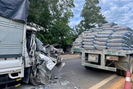 Hiện trường vụ tai nạn. (Ảnh: TTXVN phát)