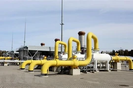 Ảnh minh họa. (Nguồn: AFP/TTXVN)