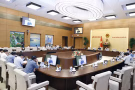 Toàn cảnh cuộc họp. (Ảnh: Doãn Tấn/TTXVN) 