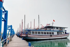 Cảng tàu khách quốc tế Hạ Long. (Ảnh: Thanh Vân/TTXVN)