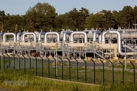Đường ống dẫn khí đốt thuộc dự án Dòng chảy phương Bắc 2 (Nord Stream 2) tại Lubmin, Đức ngày 7/9/2020. (Ảnh: AFP/TTXVN) 