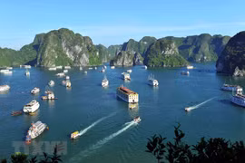 Di sản thiên nhiên thế giới Vịnh Hạ Long mang những giá trị đặc biệt về địa chất, địa mạo có một không hai trên thế giới. (Ảnh: Minh Đức/TTXVN)
