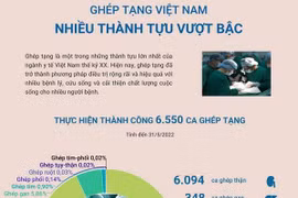 [Infographics] Ghép tạng Việt Nam: Nhiều thành tựu vượt bậc