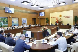 Quang cảnh phiên họp. (Ảnh: Doãn Tấn/TTXVN)