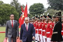 Chủ tịch nước Nguyễn Xuân Phúc và Tổng thống nước Cộng hòa Indonesia Joko Widodo duyệt đội danh dự. (Ảnh: Thống Nhất/TTXVN)