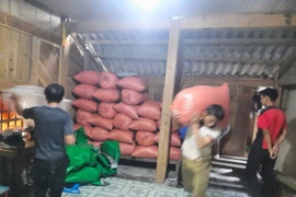 Lực lượng chức năng xã Mường Lý (huyện Mường Lát) khẩn trương sơ tán tài sản người dân đến nơi an toàn. (Ảnh: TTXVN phát)