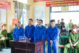 4 bị cáo tại phiên tòa lưu động xét xử vụ án hình sự vận chuyển trái phép chất ma túy. (Ảnh: Thanh Thủy/TTXVN)