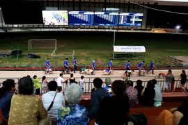 Du khách xem đua chó tại Trường đua chó Greyhound. (Ảnh: Hồng Đạt/TTXVN)