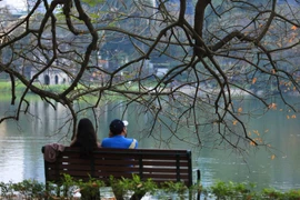 Vẻ lãng mạn của Hồ Gươm mùa lộc vừng thay lá. (Ảnh: Hoàng Hiếu/TTXVN) 