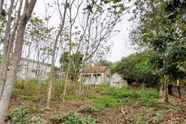 Ngôi nhà bị bỏ hoang nhiều năm do không được cải tạo, sửa chữa. (Ảnh: Thanh Vân/TTXVN)