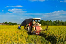 (Nguồn: Vietnam+)