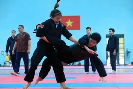 Một đòn đánh trong thi đấu Pencak Silat.(Ảnh: Tuấn Anh/TTXVN)