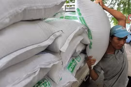 Công nhân vận chuyển gạo tại Phnom Penh, Campuchia. (Nguồn: AFP/TTXVN) 