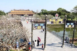 Một góc khu vực Đại Nội, Kinh thành Huế. (Ảnh: Đỗ Trưởng/TTXVN)