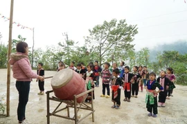 Ảnh minh họa. (Nguồn: TTXVN)