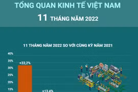 [Infographics] Tổng quan kinh tế Việt Nam 11 tháng năm 2022