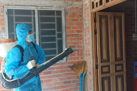 Phun thuốc diệt muỗi phòng sốt xuất huyết. (Ảnh: Huỳnh Phúc Hậu/TTXVN)
