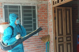 Phun thuốc diệt muỗi phòng sốt xuất huyết. (Ảnh: Huỳnh Phúc Hậu/TTXVN)