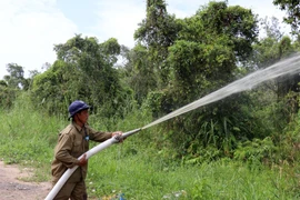 Vận hành máy bơm phun xịt nước phòng cháy, chữa cháy rừng trên lâm phần Vườn quốc gia U Minh Thượng (Kiên Giang). (Ảnh: Lê Huy Hải/TTXVN) 