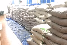 Các bao đường cát bị thu giữ tại cơ sở kinh doanh của bà Bùi Thị Thanh Vân tại đường Nguyễn Du, khu phố 1, phường Xuân An, thành phố Long Khánh. (Ảnh: TTXVN phát)