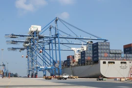 TC-HICT đón Teu thứ 1 triệu khẳng định sự thu hút hàng hóa xuất nhập khẩu của cảng biển nước sâu tại Việt Nam. (Ảnh: Minh Thu/TTXVN)