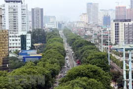 Ảnh minh họa. (Nguồn: TTXVN)