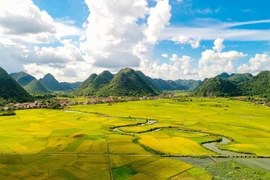 Vẻ đẹp rực rỡ như bức tranh bích họa ở thung lũng Bắc Sơn là điểm nhấn thu hút đông đảo du khách và các nhiếp ảnh gia. (Ảnh: Anh Tuấn/TTXVN) 