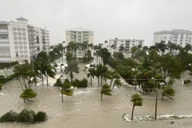 Ngập lụt trên đường phố ở Naples, bang Florida (Mỹ) do mưa lớn khi bão Ian đổ bộ, ngày 29/9/2022. (Nguồn: THX/TTXVN) 