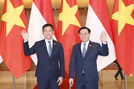 Chủ tịch Quốc hội Vương Đình Huệ và Chủ tịch Quốc hội Cộng hòa Singapore Tan Chuan-Jin chụp ảnh chung. (Ảnh: Doãn Tấn/TTXVN) 