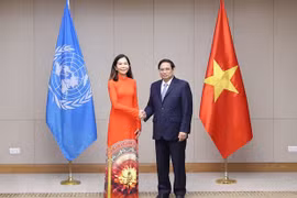 Thủ tướng Phạm Minh Chính tiếp bà Pauline Tamesis, Điều phối viên thường trú của Liên hợp quốc tại Việt Nam. (Ảnh: Dương Giang/TTXVN) 