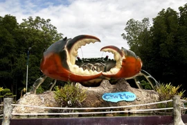 Biểu tượng cua biển - sản vật đặc trưng của vùng đất cuối trời Tổ quốc. (Ảnh: Hồng Đạt/TTXVN) 