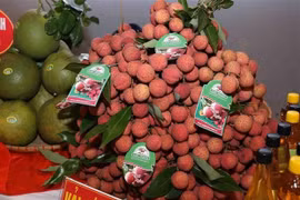 Ảnh minh họa. (Ảnh: Vũ Sinh/TTXVN) 