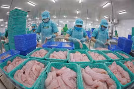 Chế biến cá tra xuất khẩu. (Ảnh: Vũ Sinh/TTXVN)