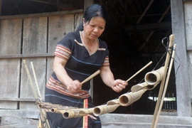 Nghệ nhân Y Trieng (thị trấn Đăk Rve, huyện Kon Rẫy, tỉnh Kon Tum) đánh đàn T’rưng. (Ảnh: Khoa Chương/TTXVN)