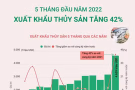 [Infographics] Xuất khẩu thủy sản 5 tháng đầu năm 2022 tăng 42%
