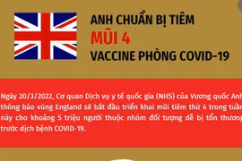[Infographics] Anh chuẩn bị tiêm mũi 4 vaccine phòng COVID-19