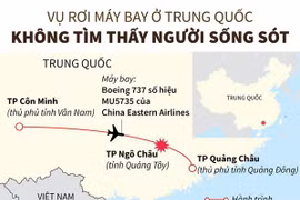 Không tìm thấy người sống sót trong vụ rơi máy bay ở Trung Quốc
