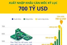 [Infographics] Xuất nhập khẩu cán mốc kỷ lục 700 tỷ USD