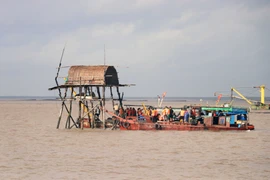 Lực lượng chức năng tiến hành cưỡng chế các chòi nuôi ngao. (Ảnh: Hoàng Ngọc/TTXVN)