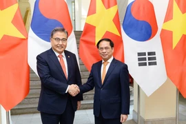 Bộ trưởng Bộ Ngoại giao Bùi Thanh Sơn đón Bộ trưởng Ngoại giao Hàn Quốc Park Jin. (Ảnh: Minh Đức/TTXVN)
